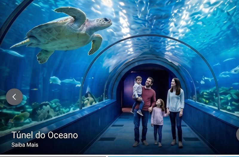 Túnel do Oceano no SEA LIFE Porto, Matosinhos